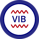 Simge titreşim dalgaları Simge titreşim dalgaları