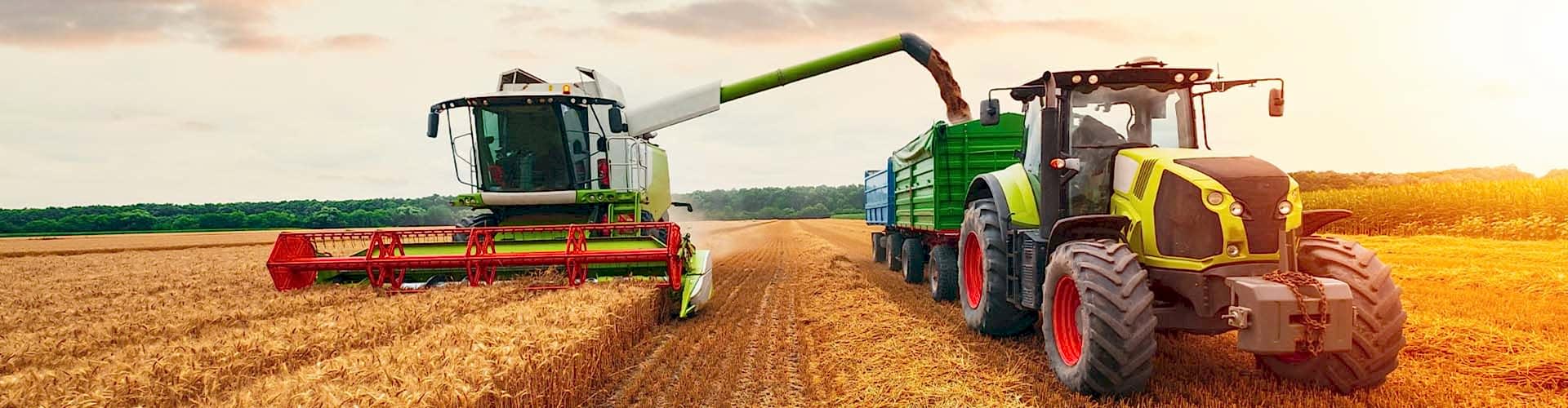 Ein Mähdrescher erntet ein Feld und leert das Getreide in einen Anhänger eines Traktors